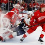 Panthers, Red Wings