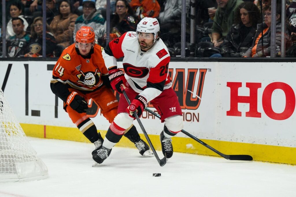 Hurricanes, Ducks