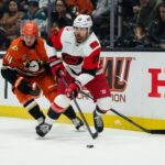 Hurricanes, Ducks