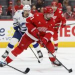 dylan larkin