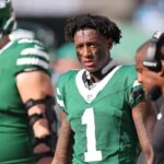 sauce gardner jets