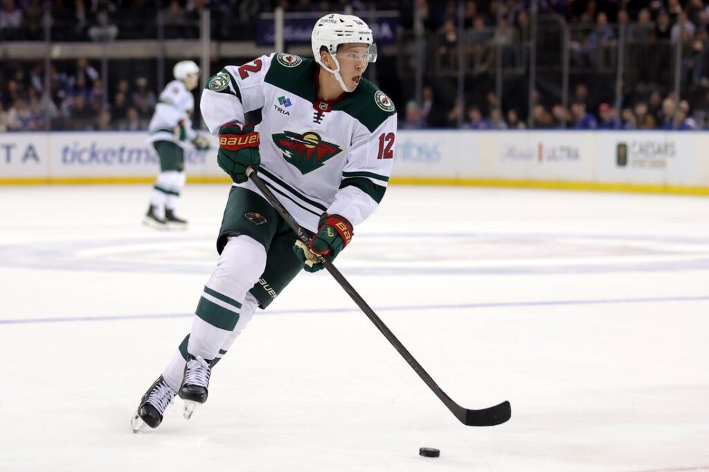 minnesota wild