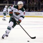minnesota wild