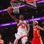 raptors, hawks