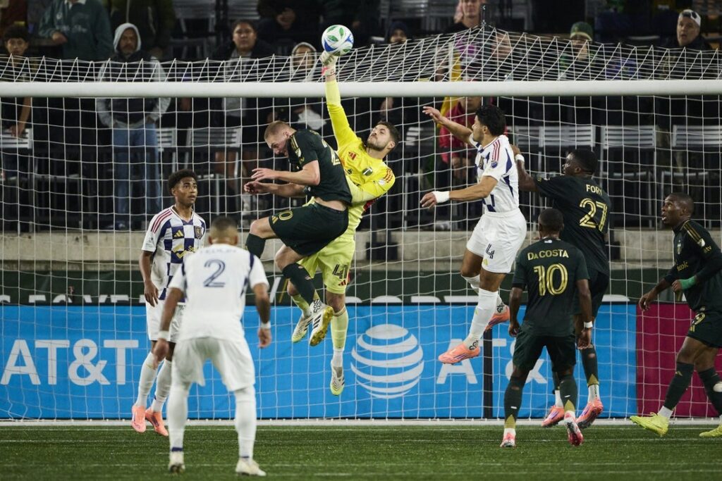Real Salt Lake, Timbers