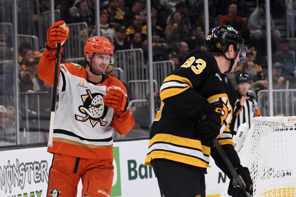 Ducks, Bruins