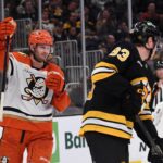 Ducks, Bruins