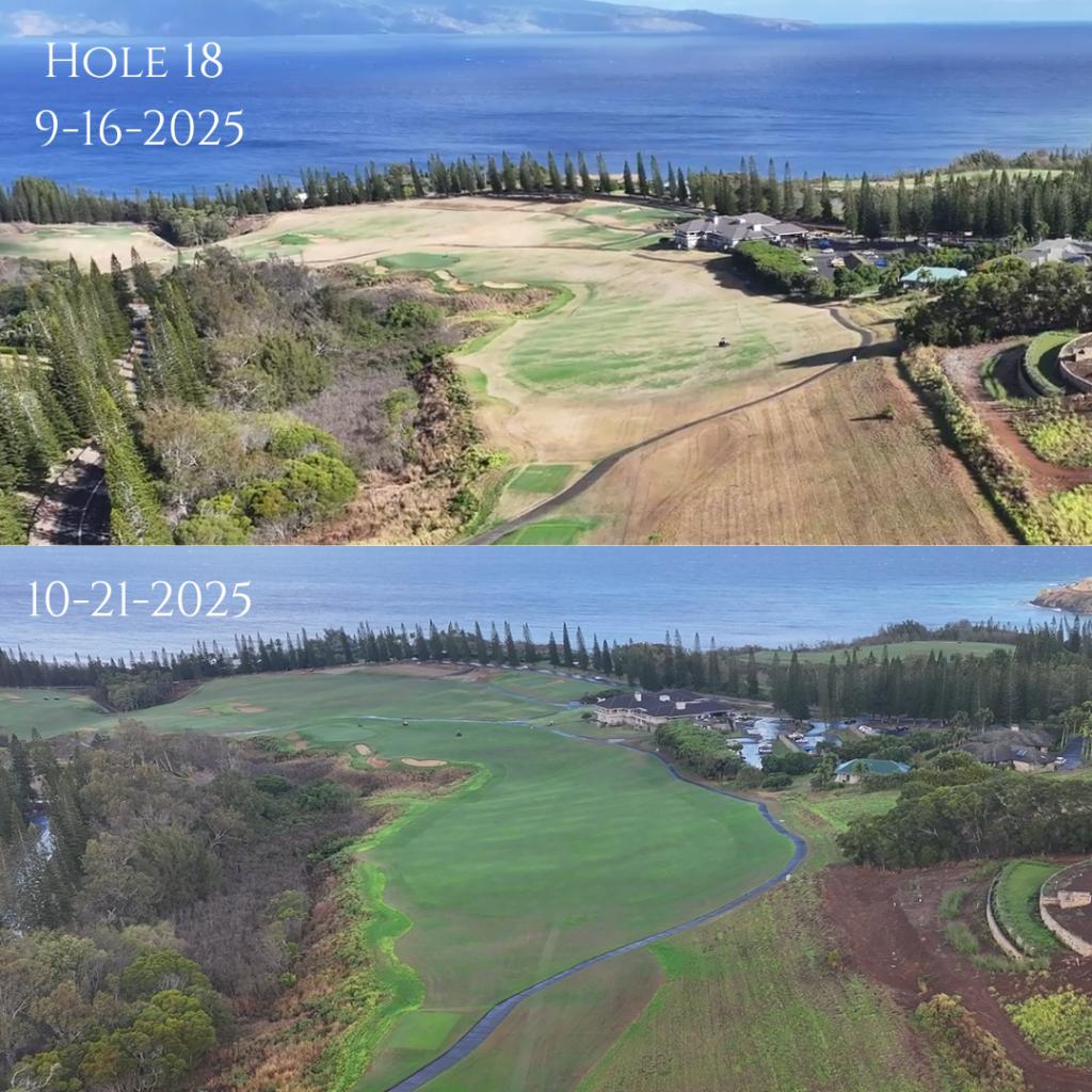 Kapalua, Plantation