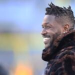 antonio brown steelers