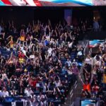 league of legends, fans