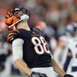 bengals gesicki 2024