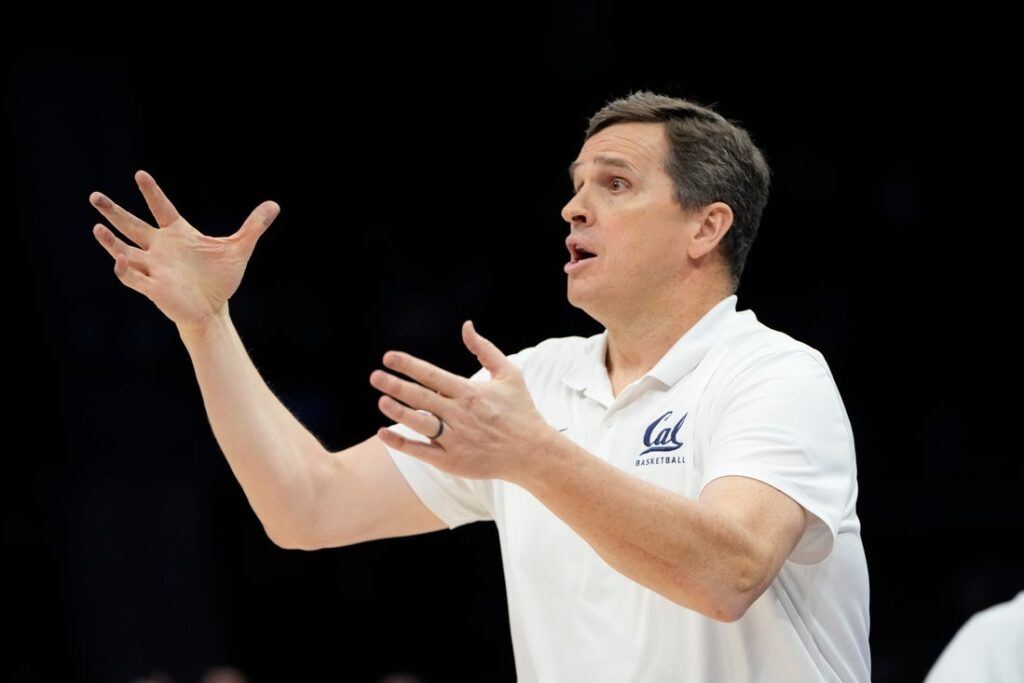 golden bears, madsen