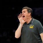 golden bears, mark madsen