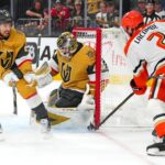 ducks golden knights