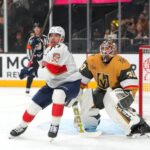 Panthers, Golden Knights