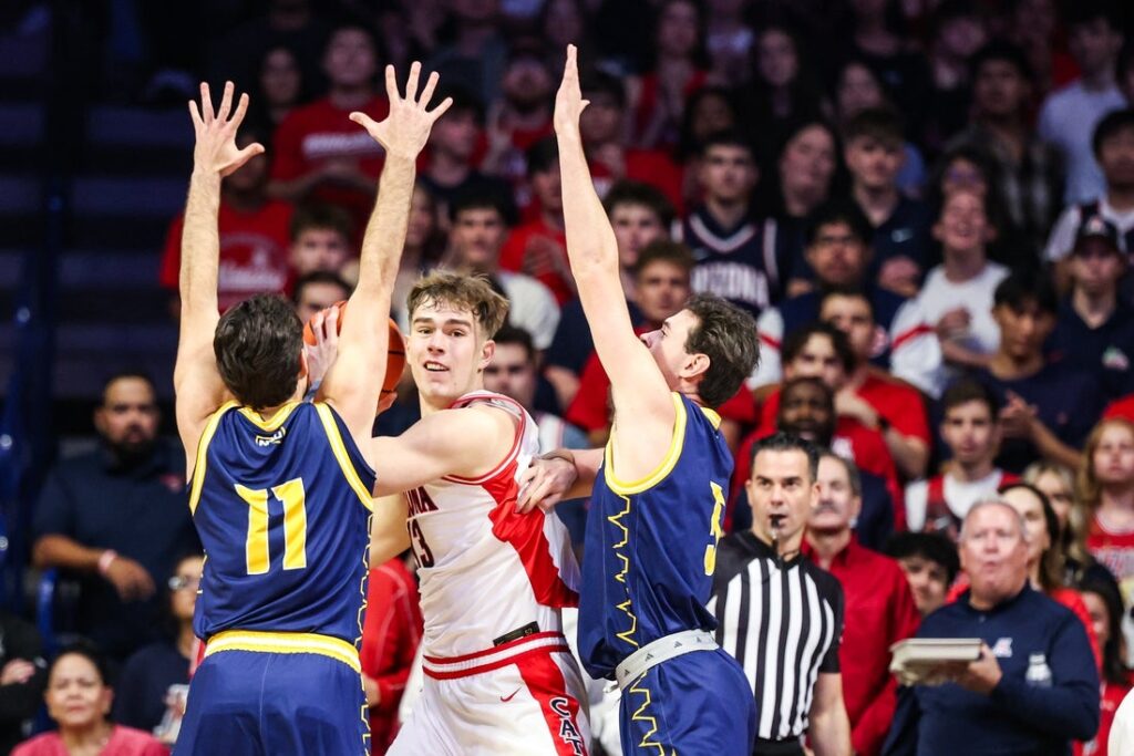 northern arizona, Arizona wildcats