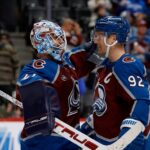 avalanche, ducks, gabriel