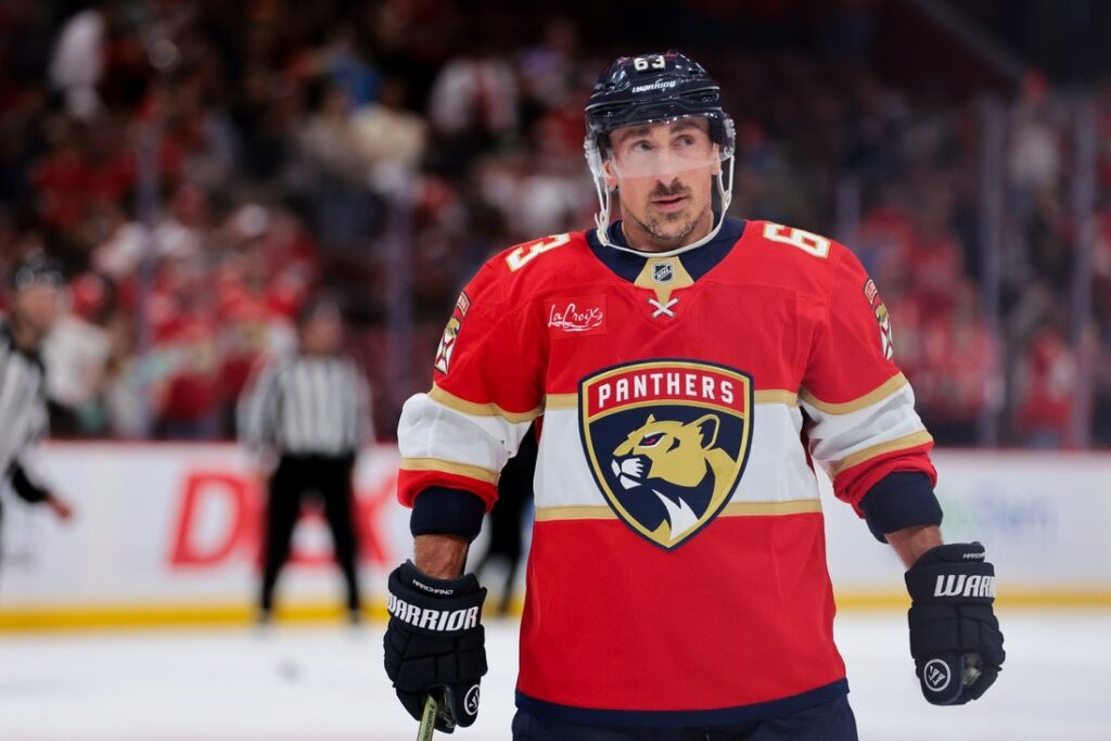 florida panthers