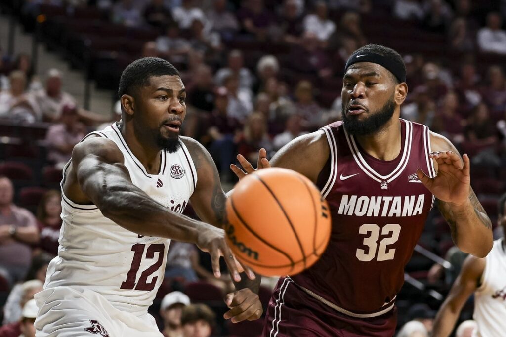 montana basketball