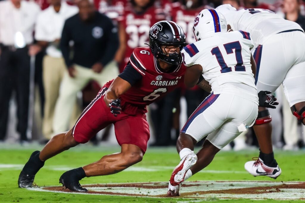 gamecocks dylan stewart