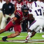 gamecocks dylan stewart