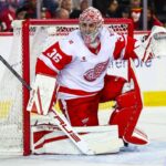Detroit Red Wings