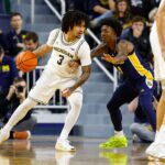 Michigan Wolverines basketball