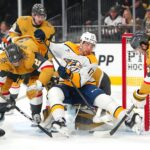 Predators, Golden Knights