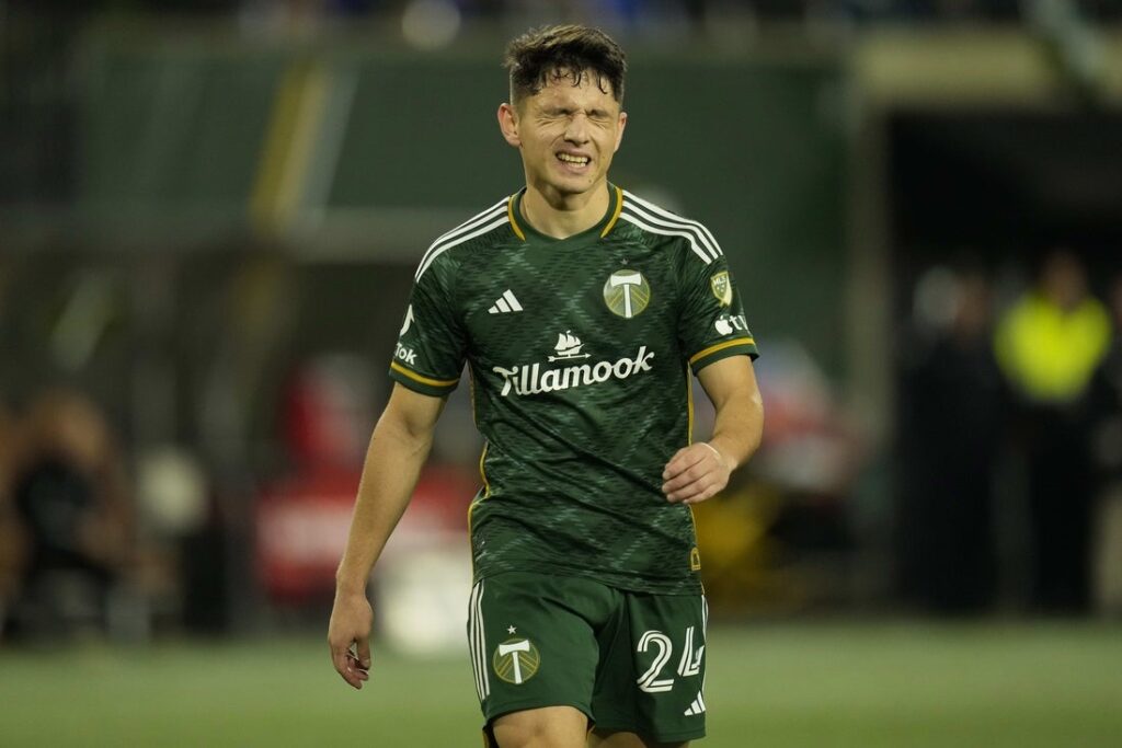 david ayala timbers react