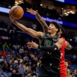 pelicans, trail blazers