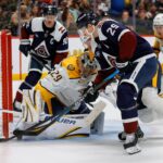 Avalanche, Predators