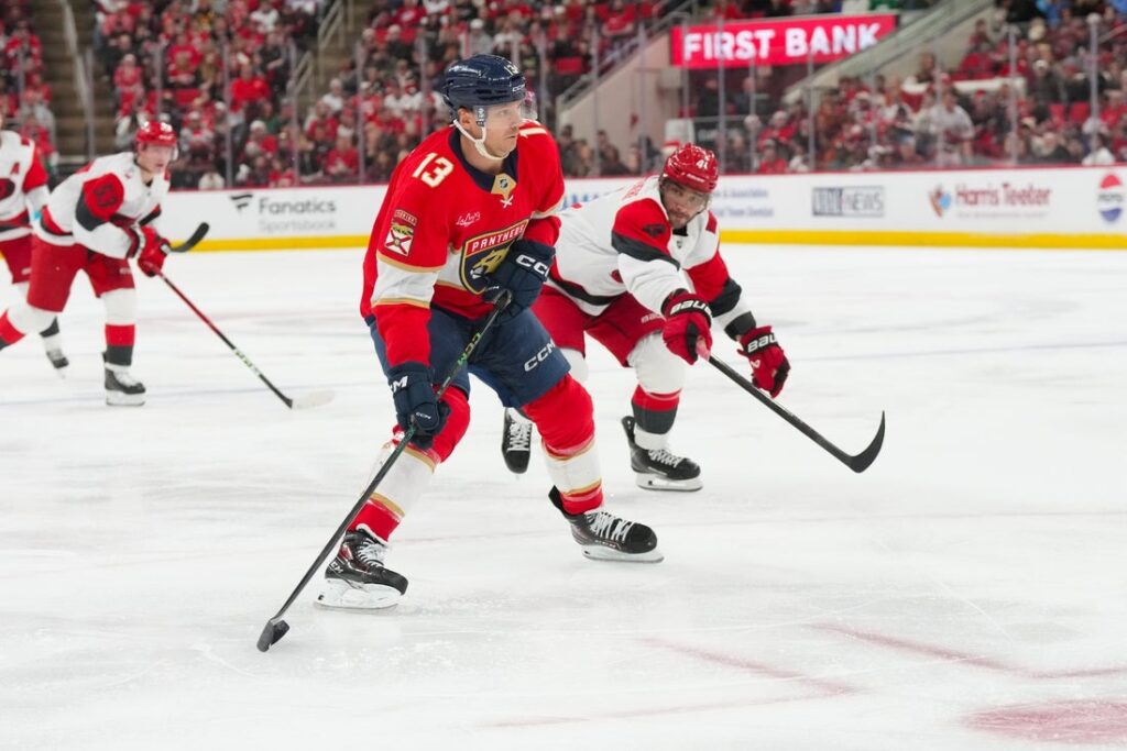 florida panthers hurricanes
