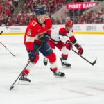 florida panthers hurricanes