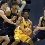 golden bears, Notre Dame