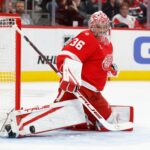 red wings, hurricanes