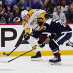 Avalanche, Predators