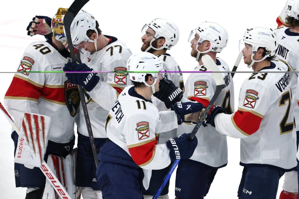 florida panthers