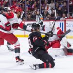 senators, hurricanes bussi