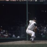 mickey lolich