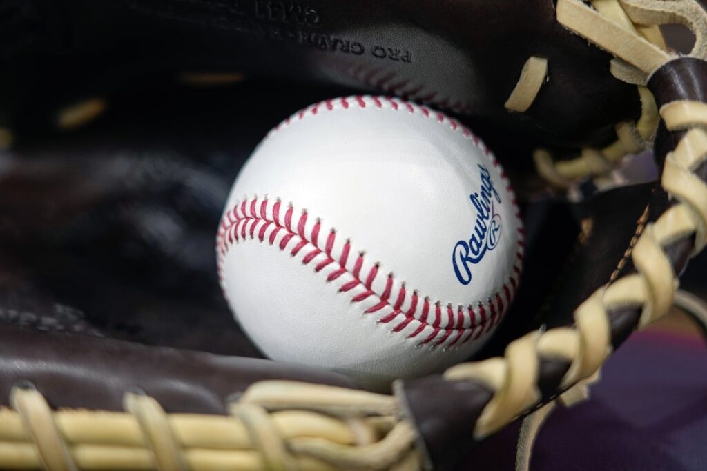 baseball bats general view