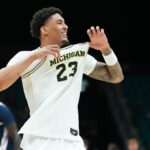 wolverines lendeborg react