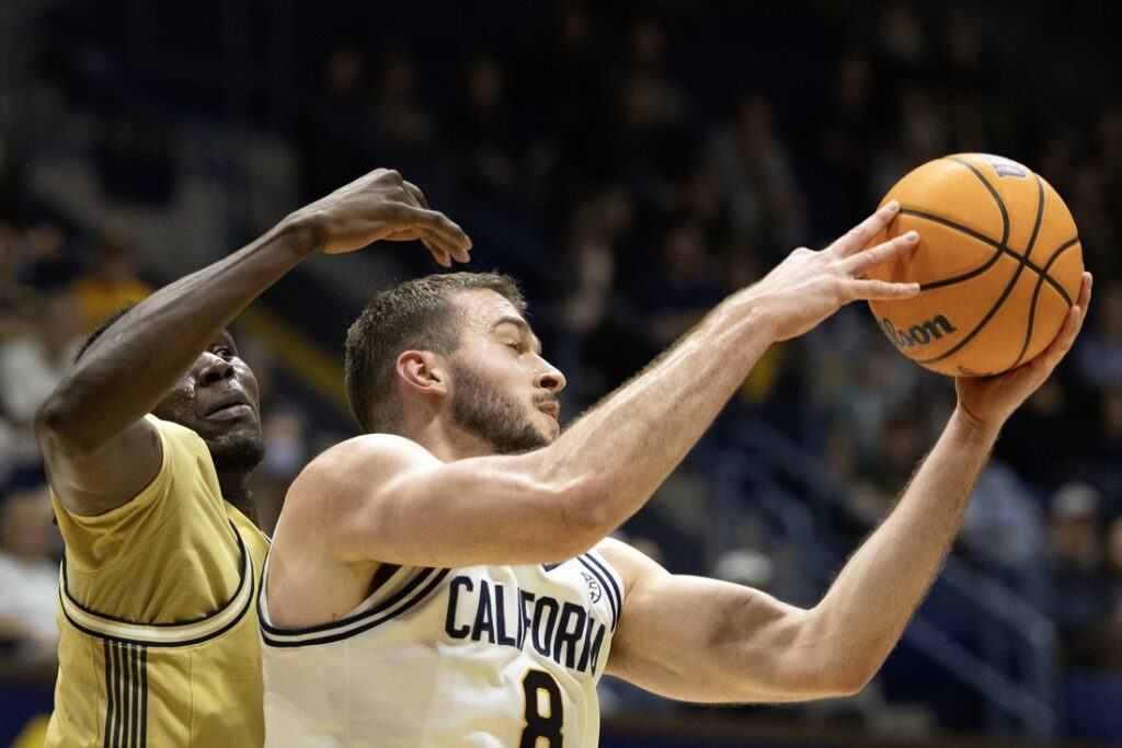 Cal golden Bears basketball