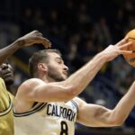 Cal golden Bears basketball