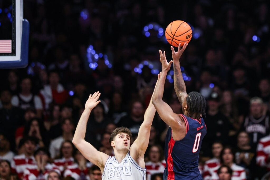 Arizona wildcats, cougars