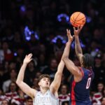 Arizona wildcats, cougars