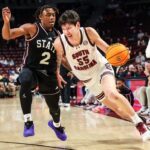 South Carolina Gamecocks