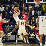 golden bears, mustangs