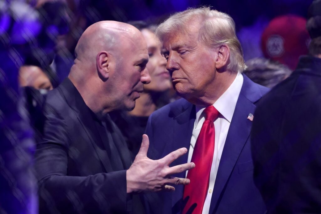 dana white trump
