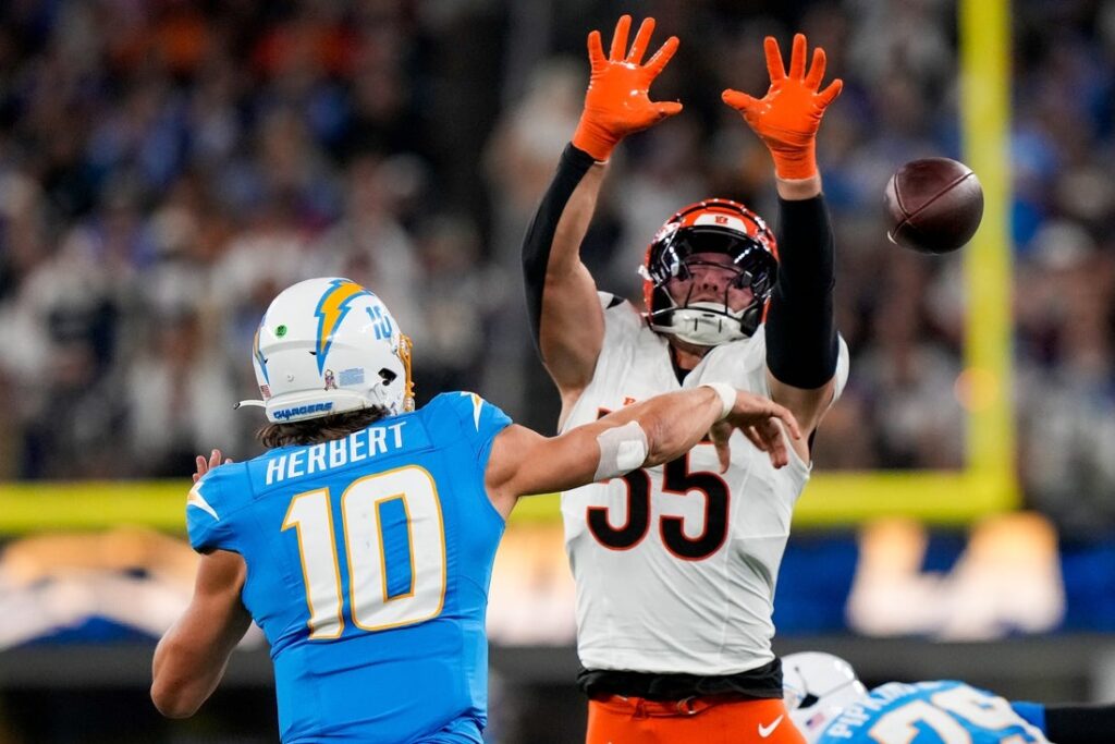 logan wilson bengals