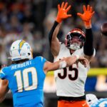 logan wilson bengals